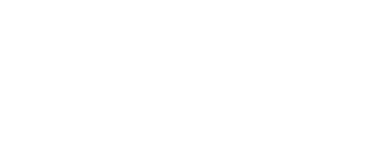 Wonder Camel Career