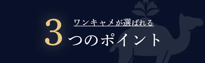 ワンキャメが選ばれる3つのポイント